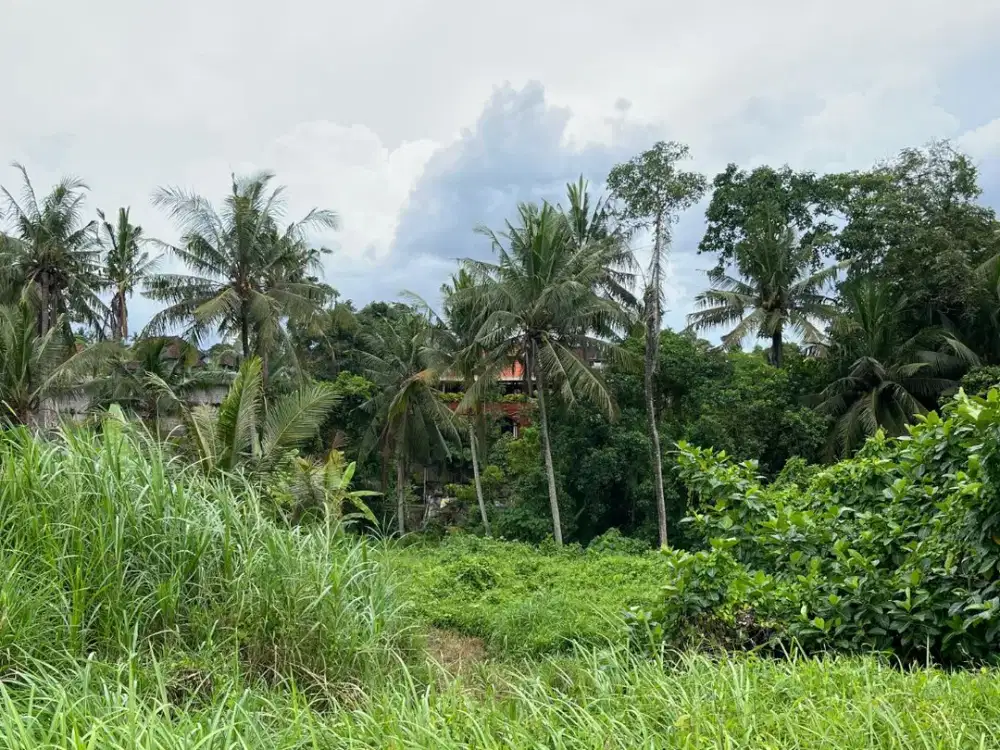 Dijual lahan bagus di Jalan Lodtunduh ubud