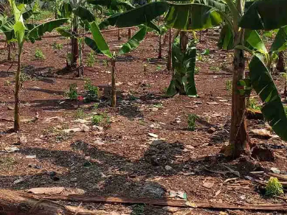 dijual tanah ciracas Jakarta Timur