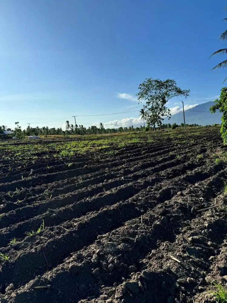 Kalianda - Lampung Selatan