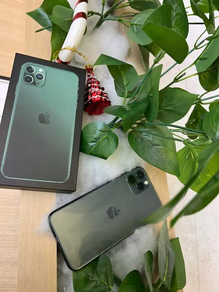 iphone 11 pro 256gb greeen coy