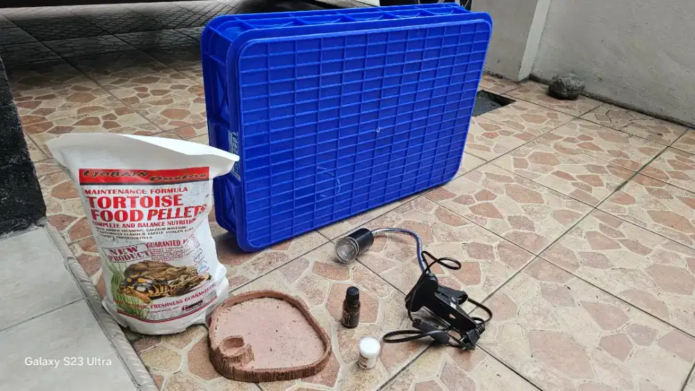 Pensiun Pelihara Sulcata