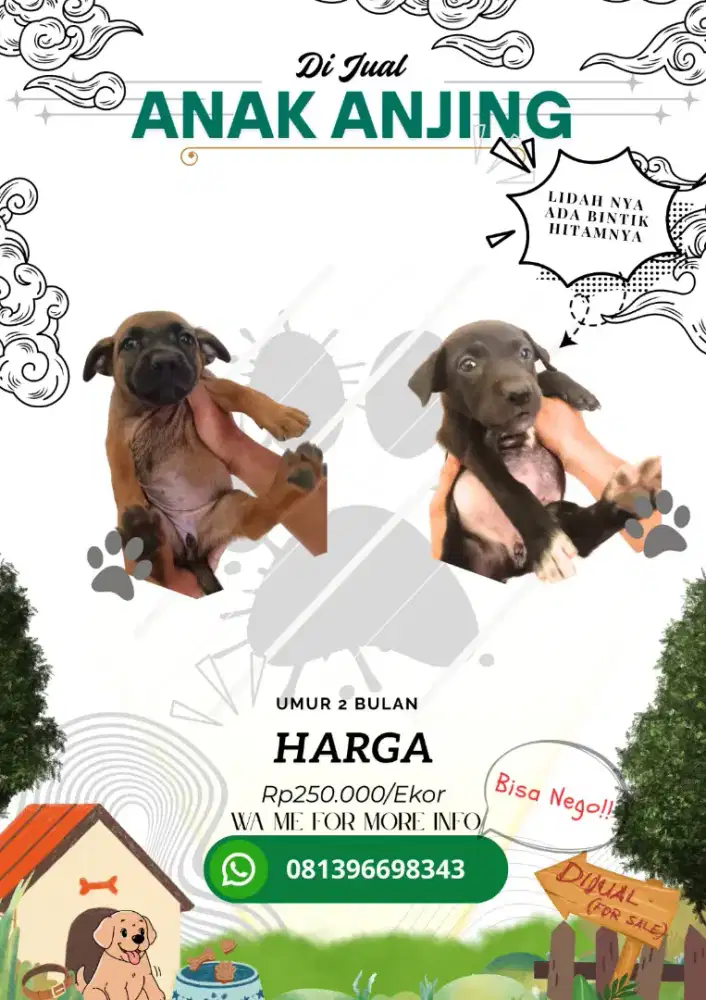 Anak Anjing Dijual