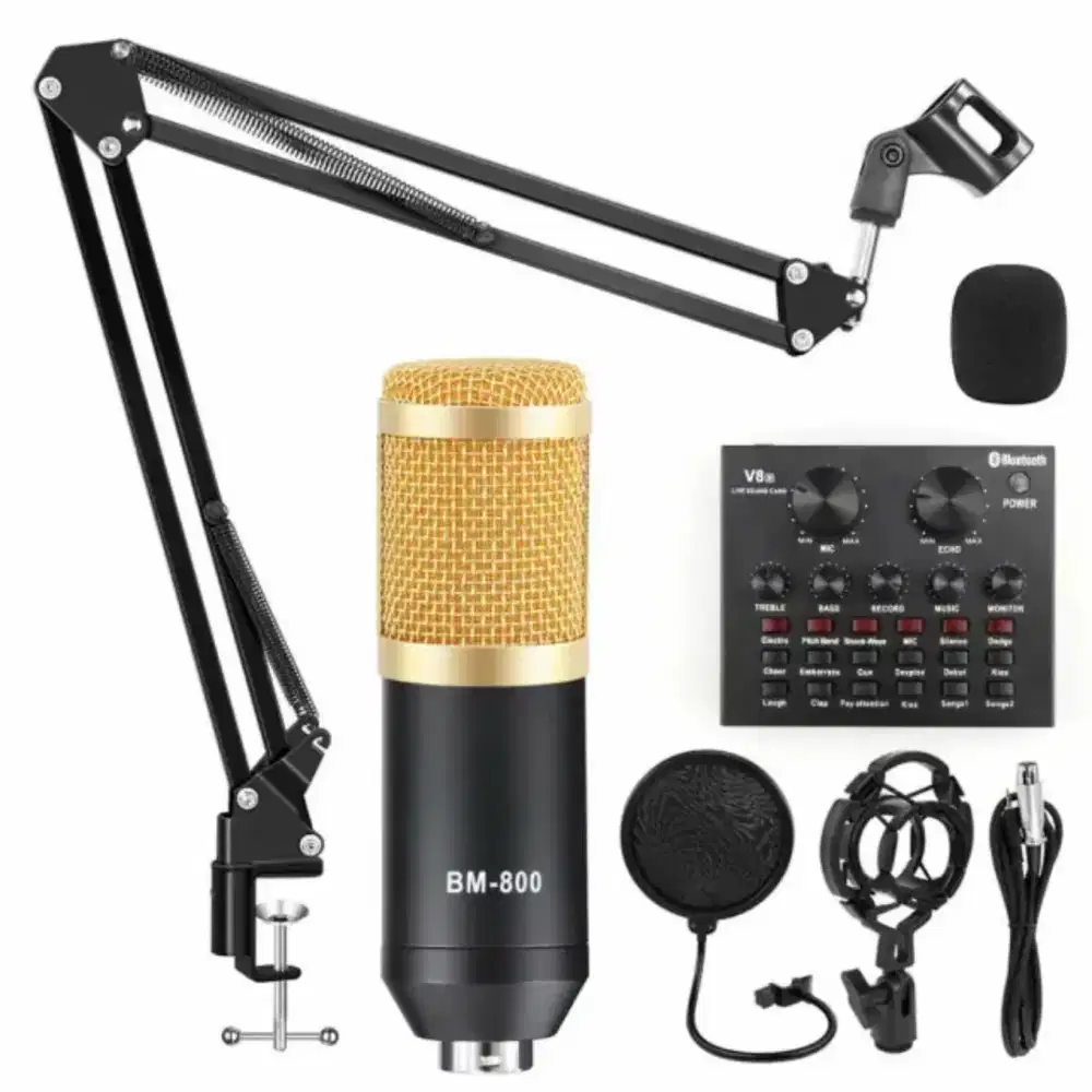 Mic Condensor BM800 bonus Ringlight