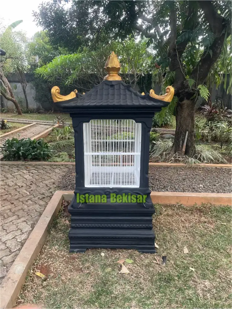 Kandang beton ayam bekisar