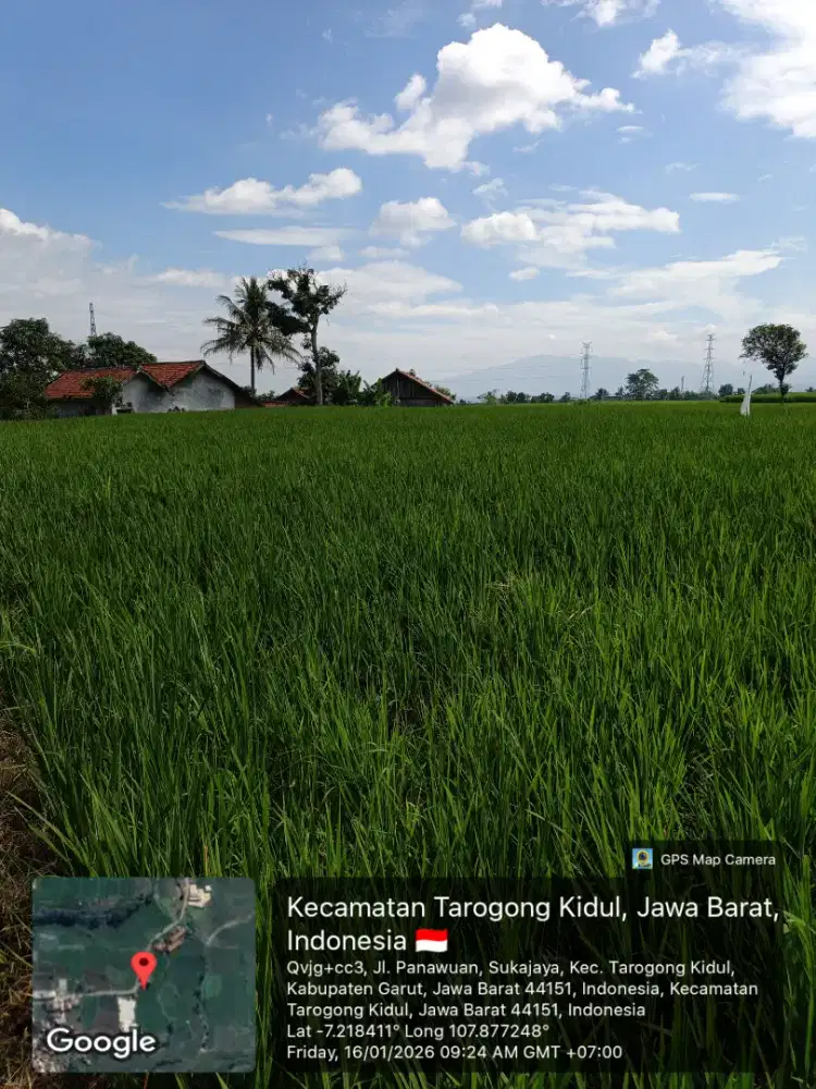 DIJUAL SAWAH STRATEGIS PINGGIR JALAN