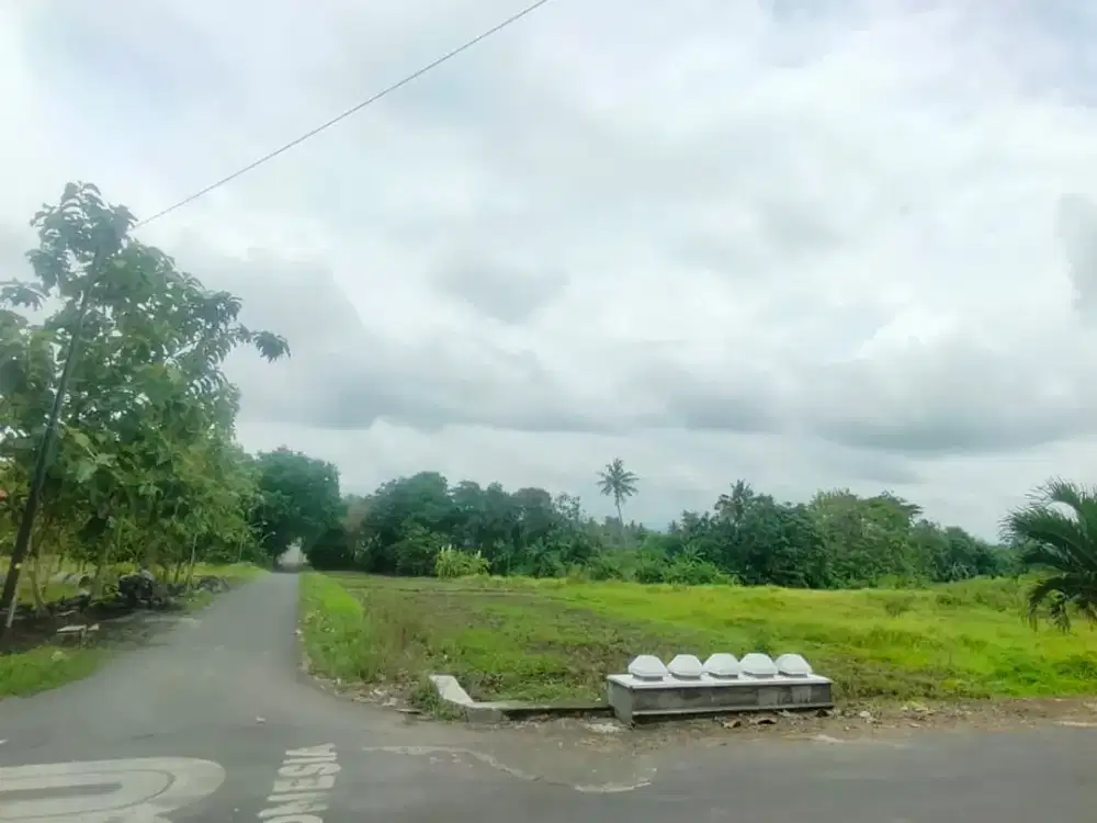 Tanah Murah Jogja Jangan Tunggu Naik