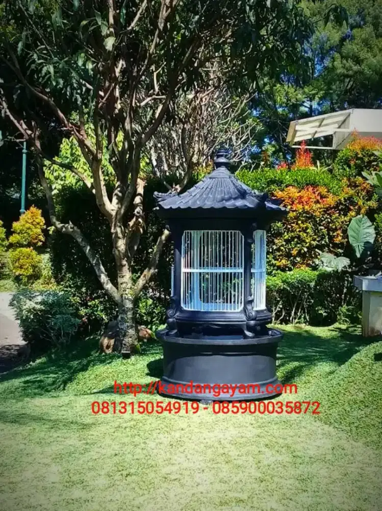 Kandang beton ayam dan burung