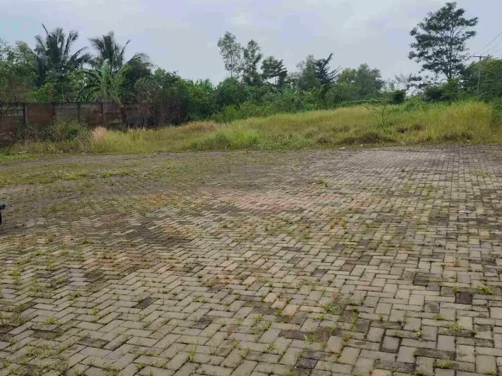 dijual tanh darat samping kawasan cicau