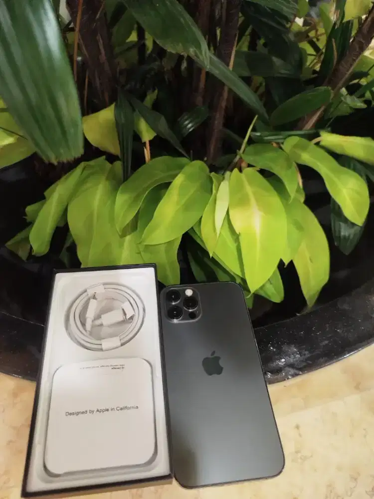 Iphone 12 128gb paling murah sejagat