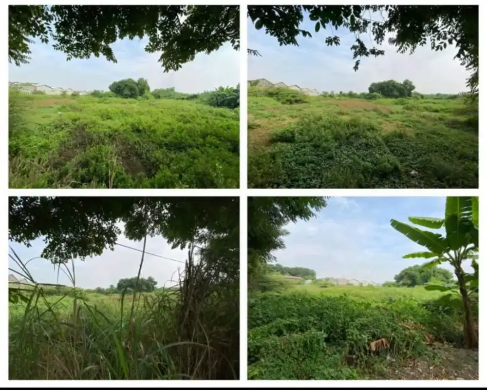 Dijual tanah 11.000 m lingkar timur 0 jalan raya besar