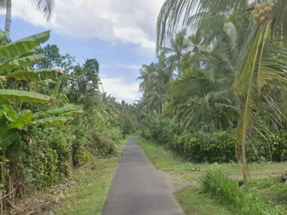 Tanah Zona Industri di Candikusuma Melaya Jembrana Bali