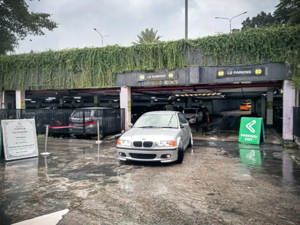 BMW E46 318i M43 Th.2000