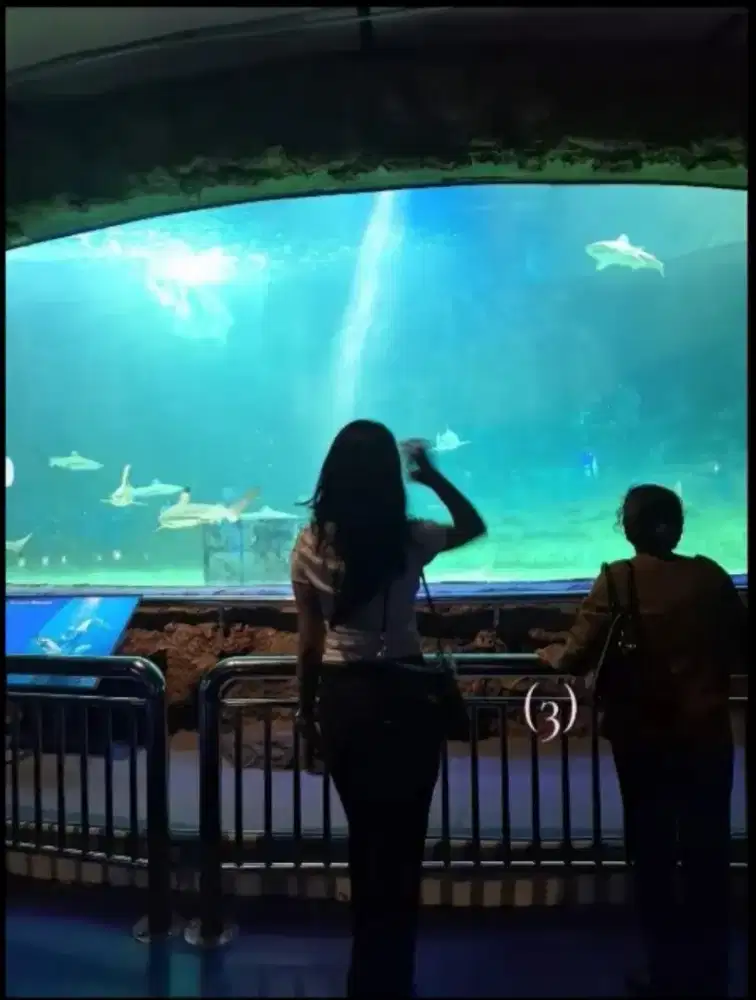 Nyari Kerjaan untuk Besok doang