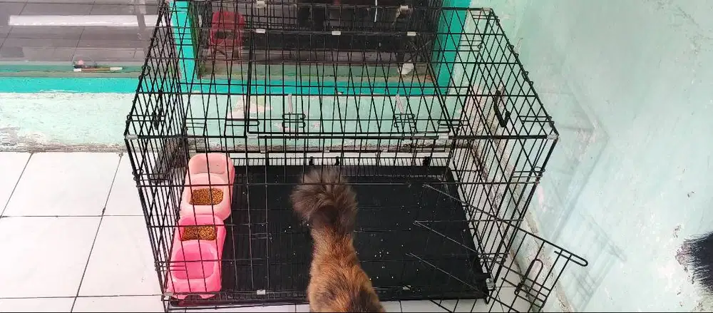Kandang kucing besi tebal