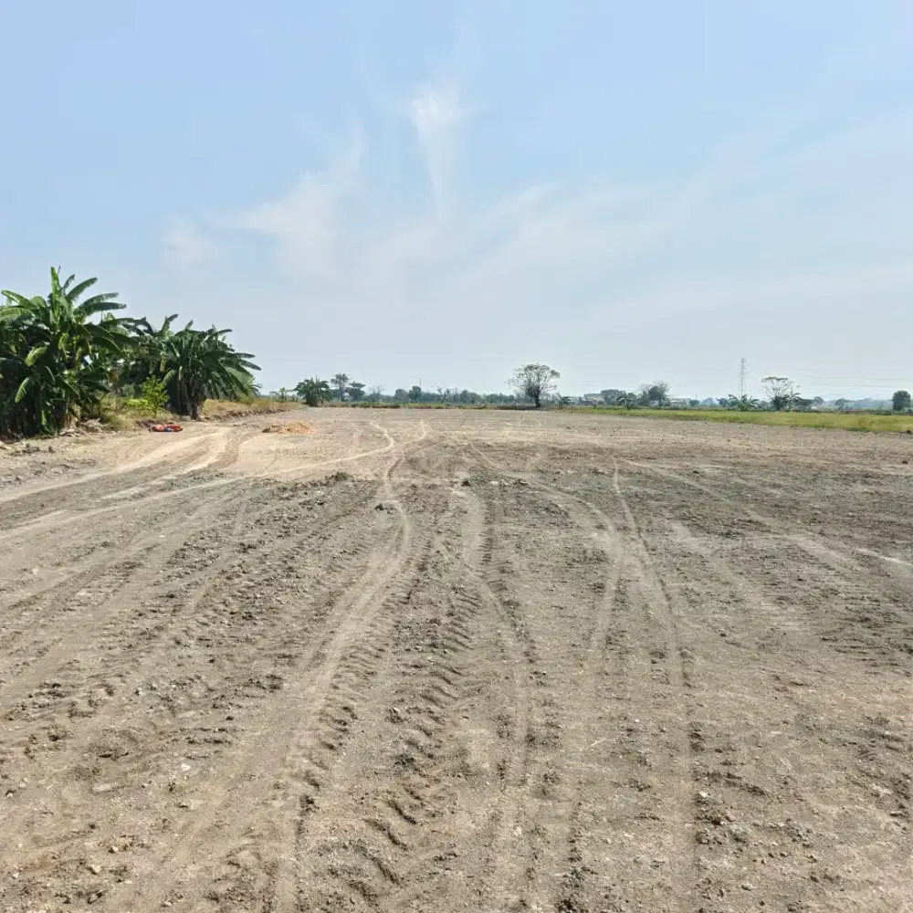 Dijual tambak sudah urukan jambu cerme