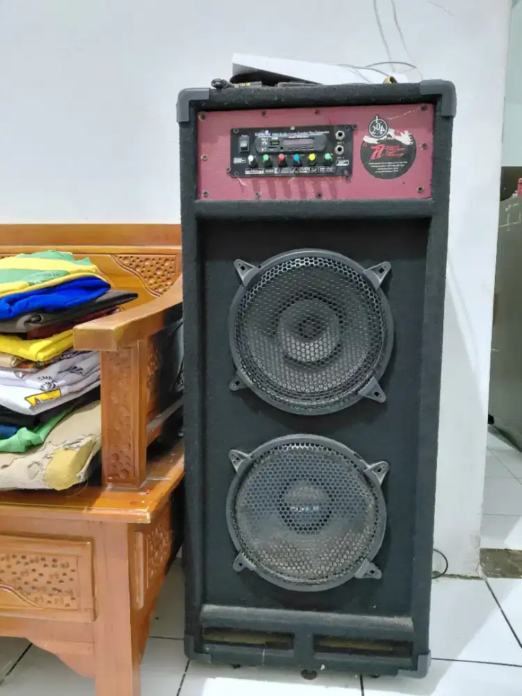 SPEAKER 10INCH DOUBLE