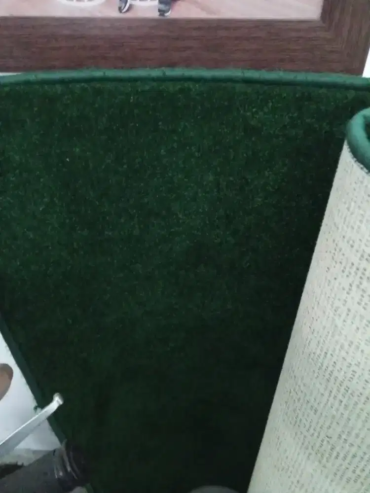 Ambal bulu warna hijau botol