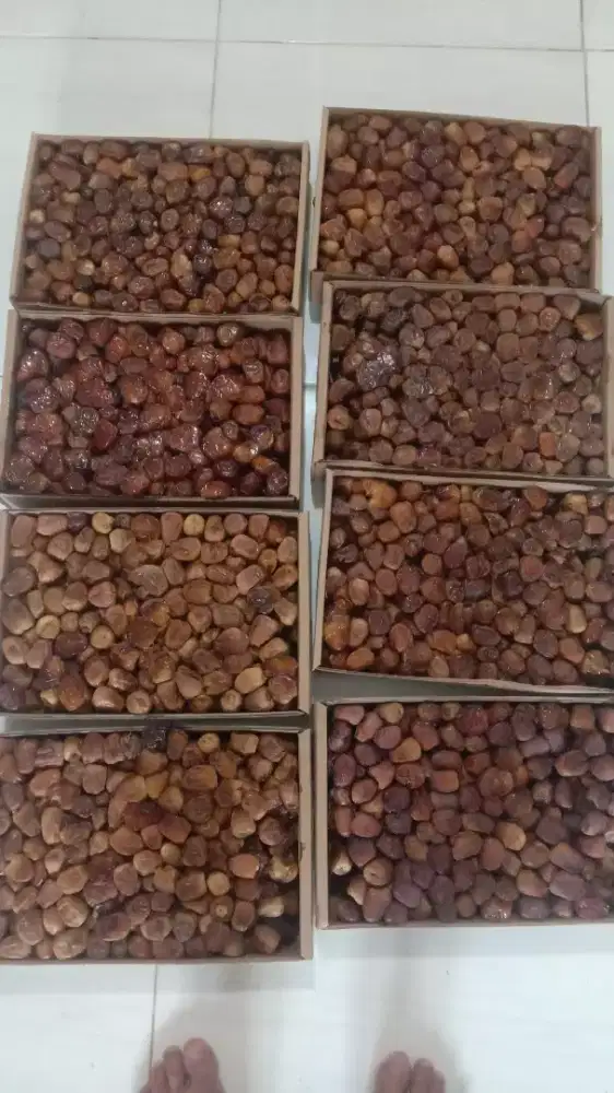 JUAL QURMA SUKARI ALQASIM GLOSIR ECERAN