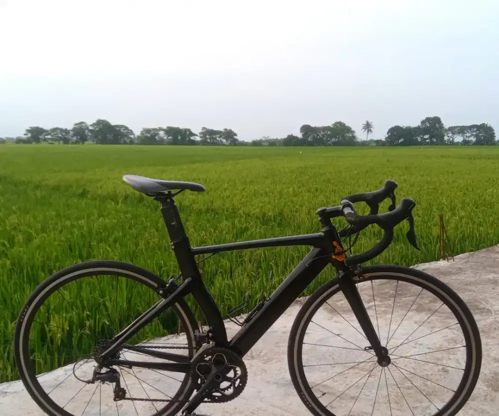 Roadbike element frc85