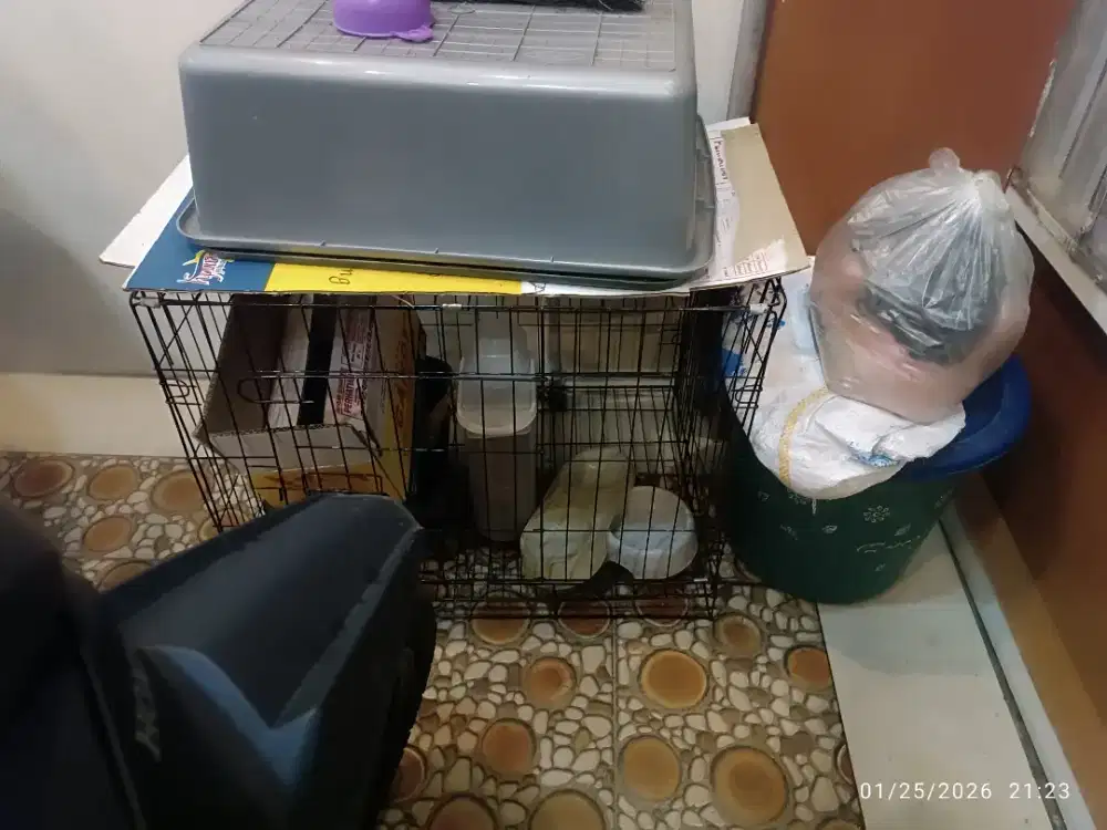 Kandang Hewan dan pelengkapannya