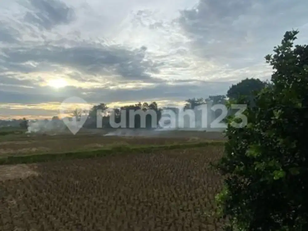Tanah Sawah Padat Siap Bangun di Tangerang