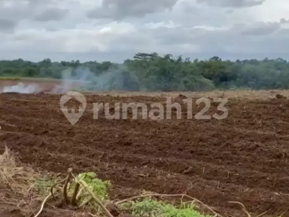 Tanah Dengan Pemandangan Asri Sejuk dan Nyaman di Maja Tangerang