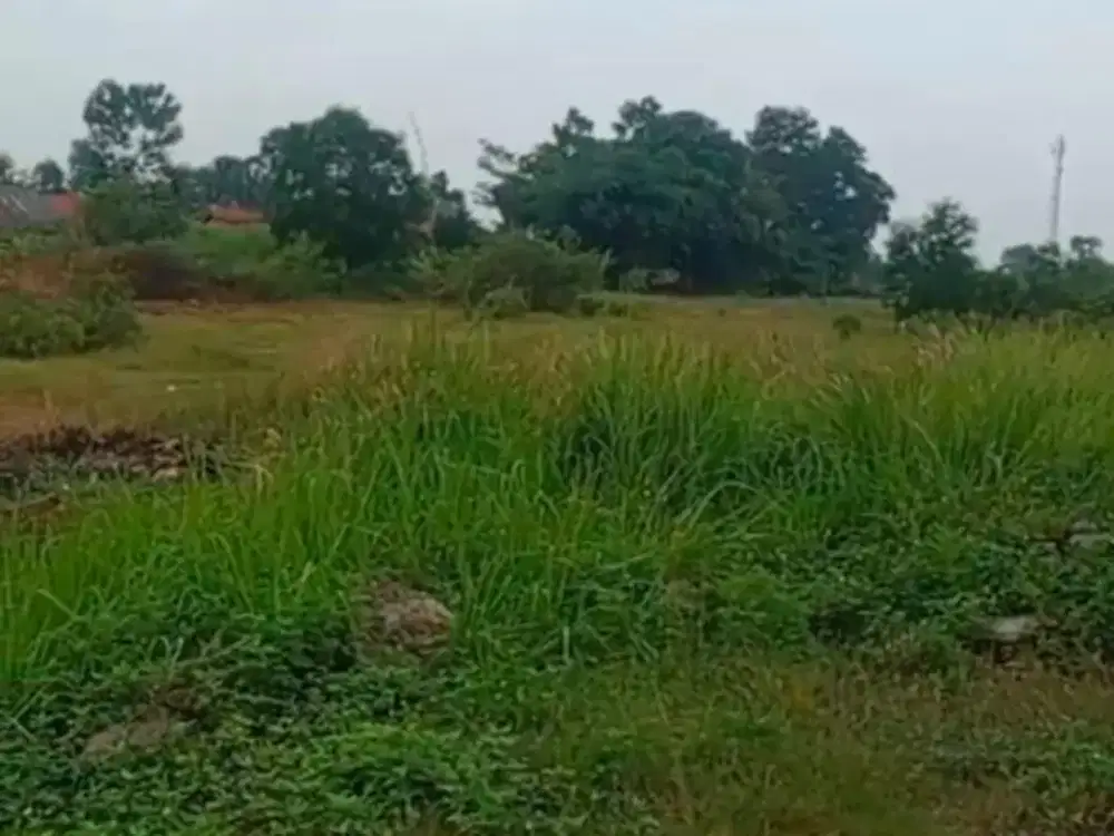 Dijual Cepat Tanah kavling Industri Murah Cikande Siap Bangun