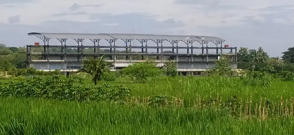 Tanah Sawah strategis dekat Stadion Olahraga Cangkring Kulonprogo