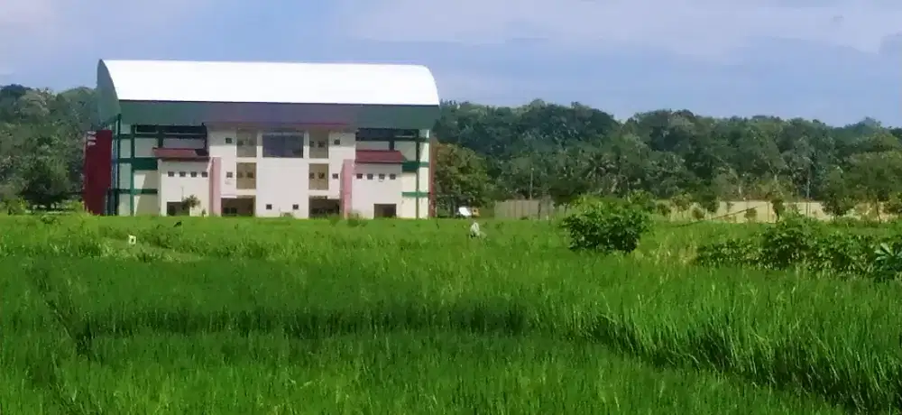 Tanah Sawah strategis dekat Stadion Cangkring