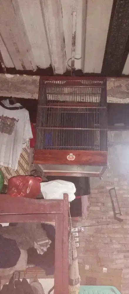 Kandang no 1 dan kandang lovebird