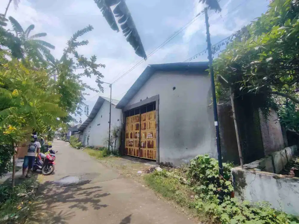 DIJUAL GUDANG
KEL. : KEMBANGSARI
KEC  : NGORO
KAB  : MOJOKERTO