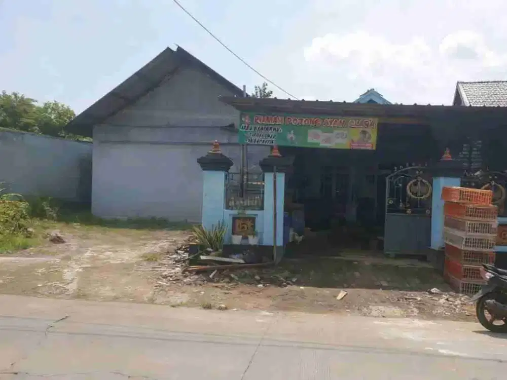 DIJUAL RUMAH 
KEL. : KALIPURO
KEC  : PUNGGING
KAB  : MOJOKERTO