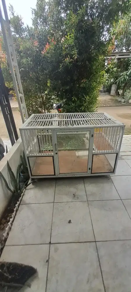 Bekas kandang kucing