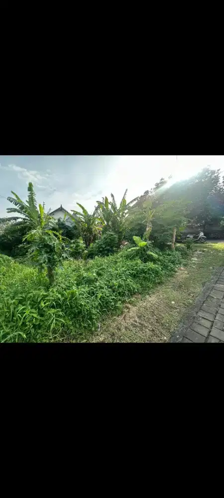 Dijual tanah murah,2 are di jln trengguli denpasar bali