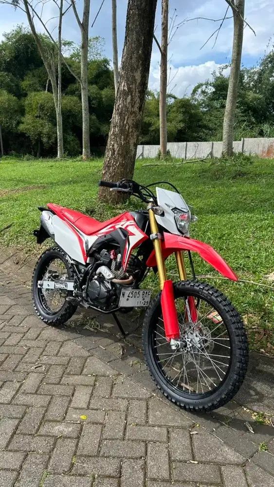 (Honda Crf 2019)