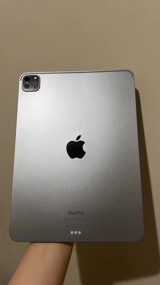 Ipad pro 11 inch MULUS