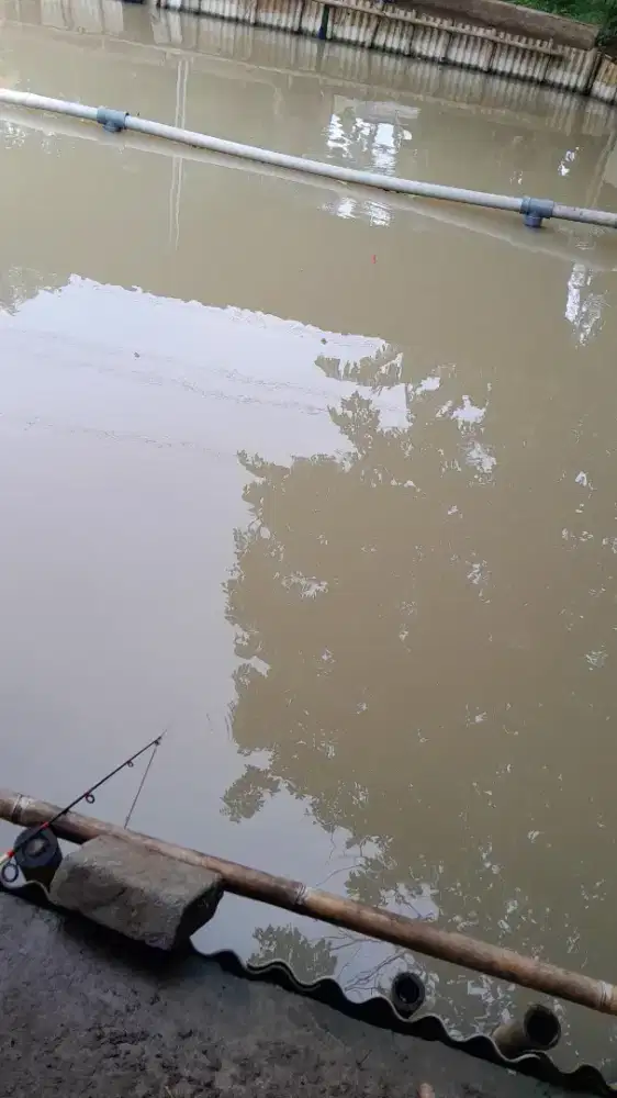 Menerima jasa buang puing