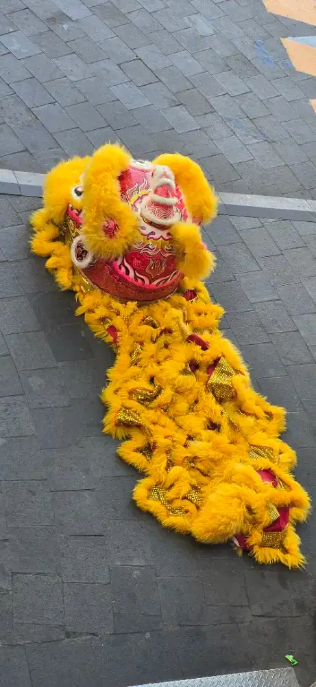 MENCARI PEMAIN BARONGSAI
