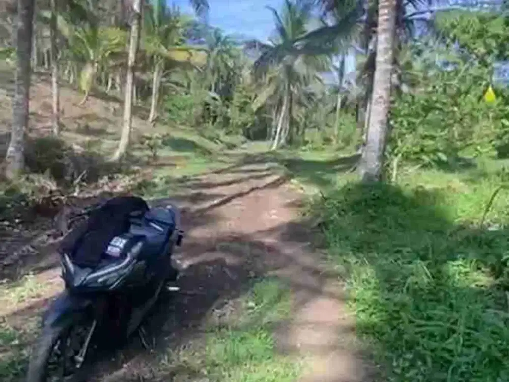 JUAL 4 HEKTAR TANAH DI CIKALONG. 10 MENIT DARI PANTAI BATU KARAS..