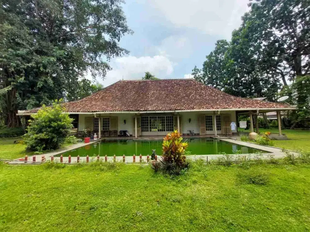 TANAH LUAS SHM HARGA NEGO DI POGUNG DEKAT UGM