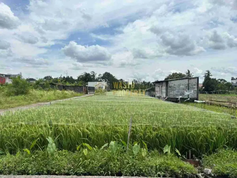 TANAH MURAH SHM DIJUAL CEPAT DI MAGUWO DEKAT RS HERMINA