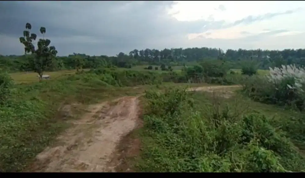 Jual tanah BU 12 ha cocok untuk pabrik/peternakan/pertanian/perkebunan