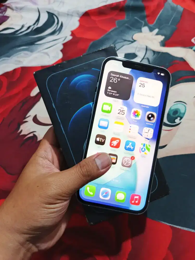 Iphone 12 Promax 256gb inter LL/A