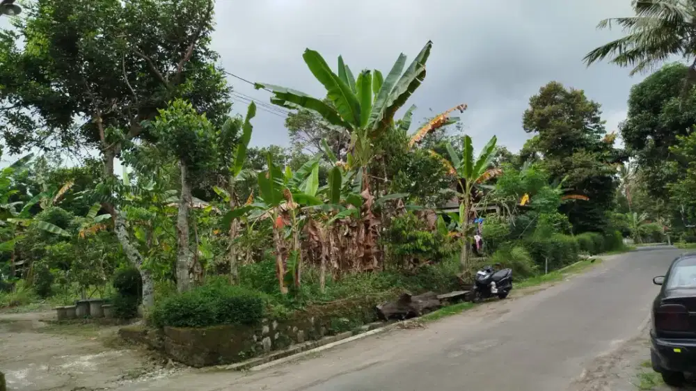 Dijual tanah kebun strategis