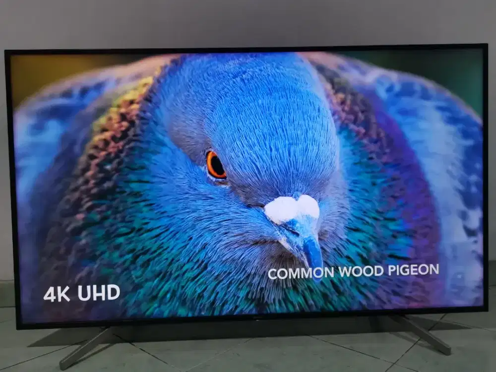 Sony Bravia Digital smart 65inch