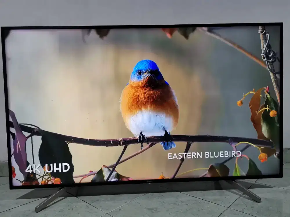 Sony Bravia Digital smart 65inch