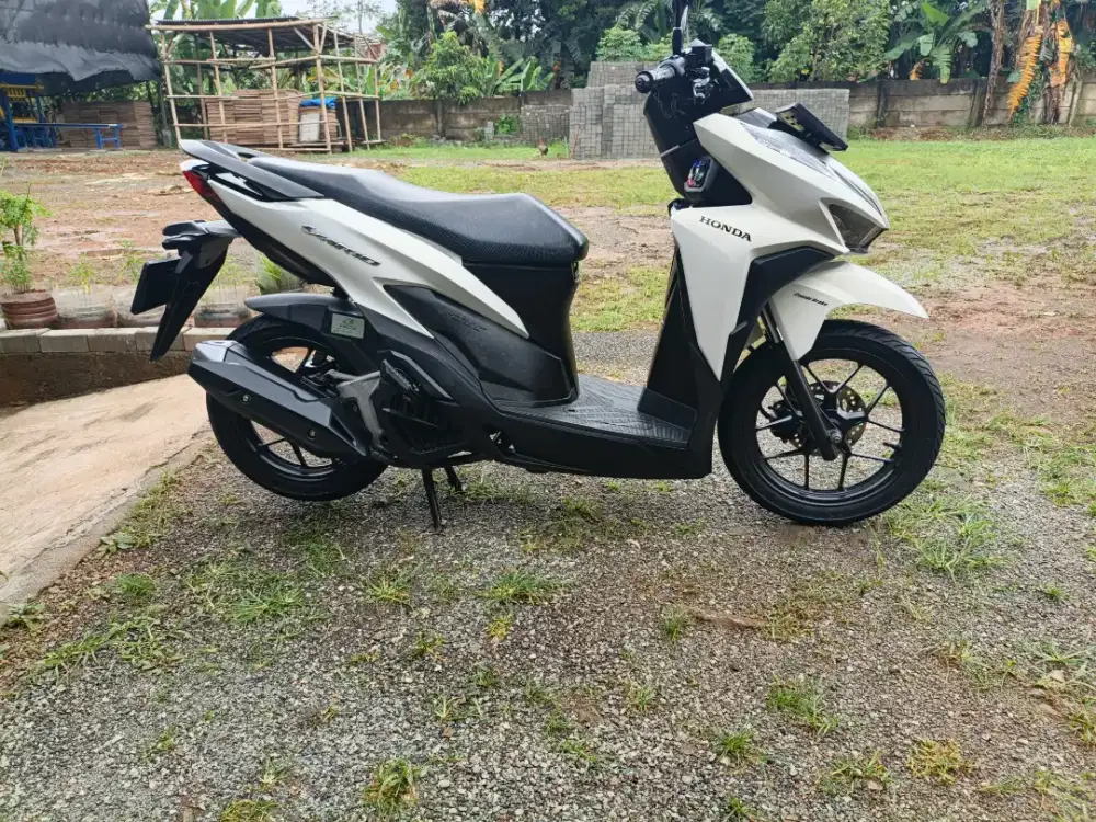 Vario 125 th 2021