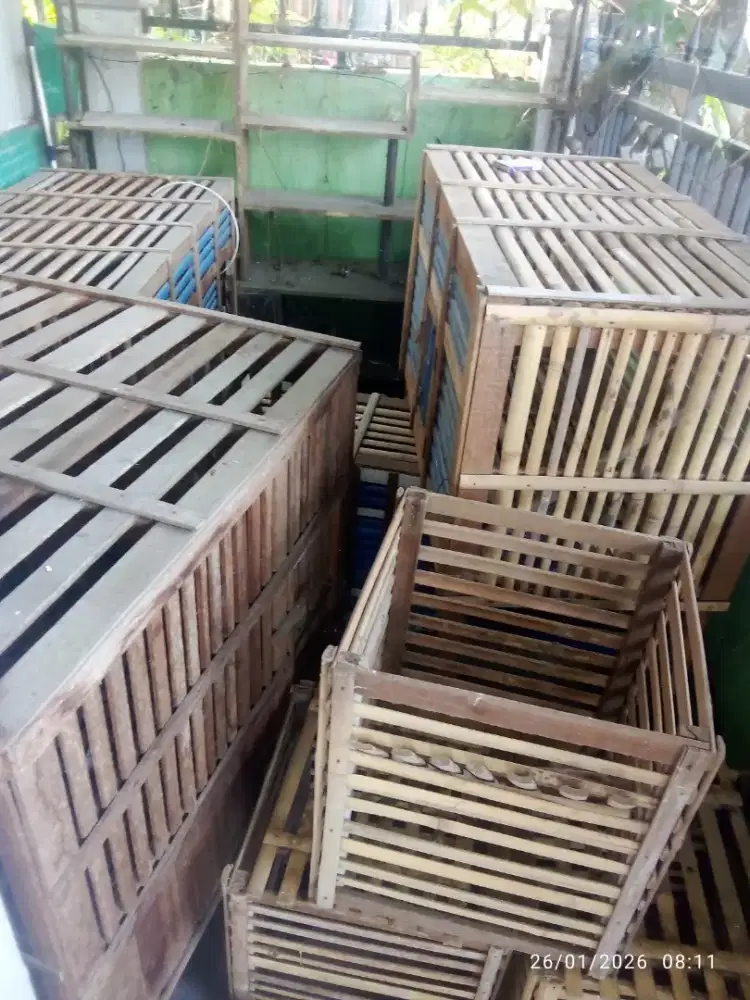 Kandang ayam, kucing, bebek