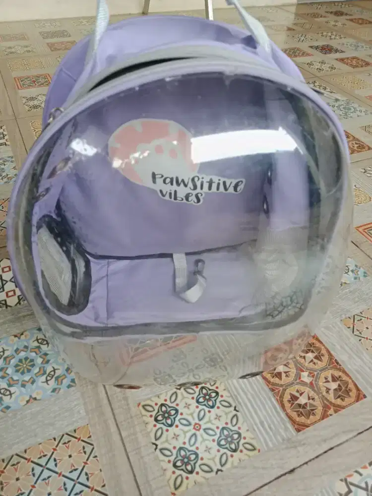 Tas ransel kucing