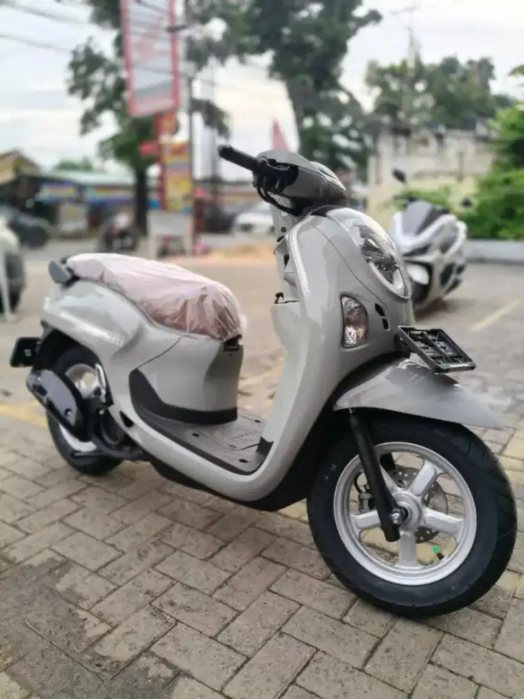 HONDA SCOOPY STYLISH GREY